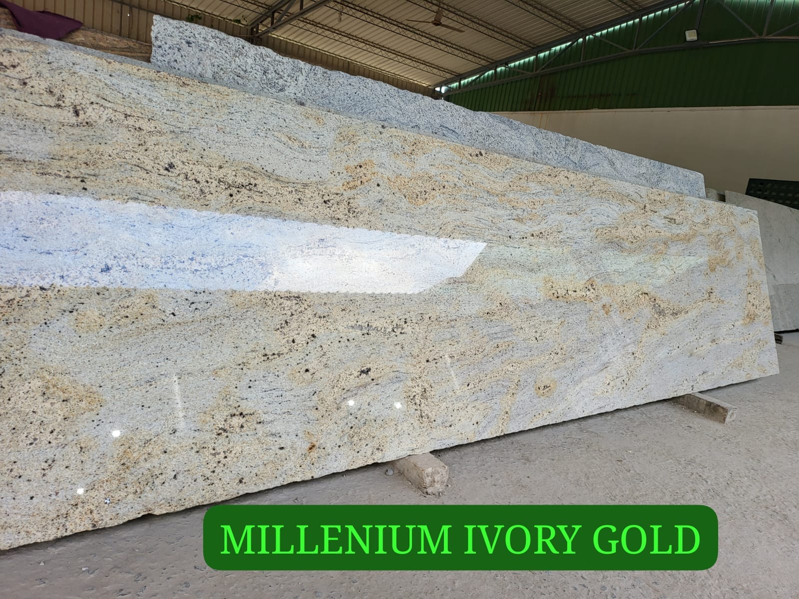 Millenium Ivory Gold